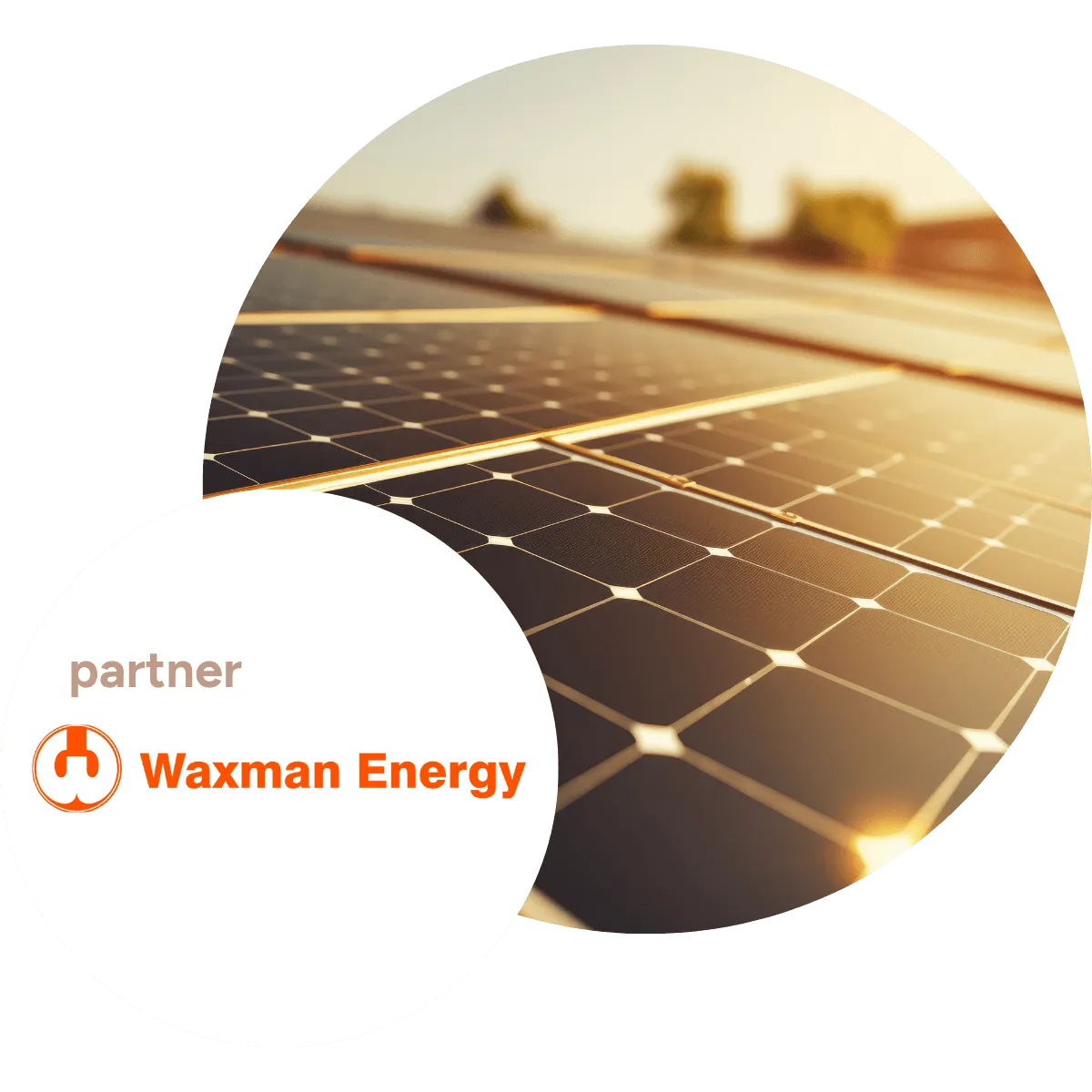 A close-up of solar panels in warm sunlight, with the Waxman Energy partner logo