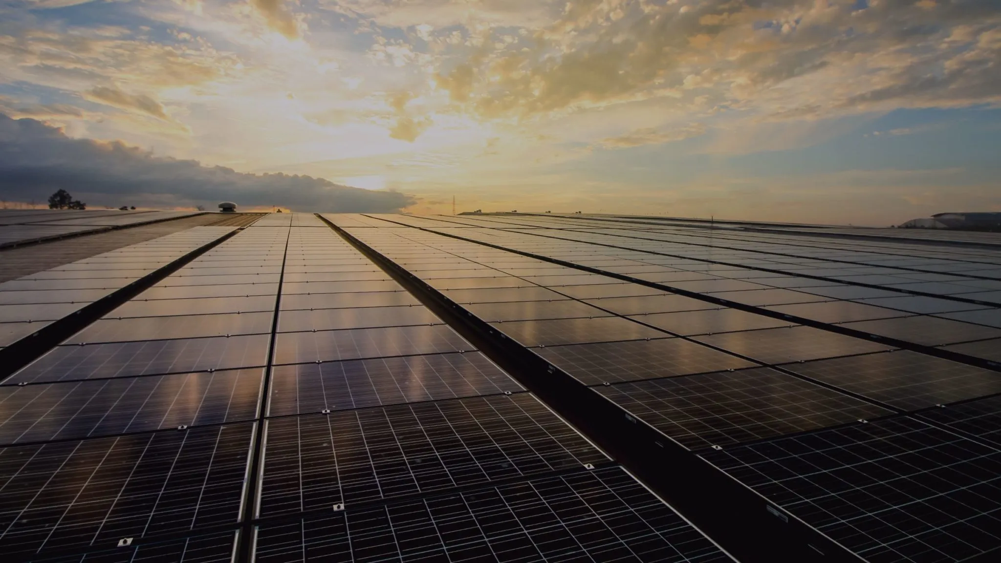 Des rangées de panneaux solaires sur une toiture immense, jusqu’à l’horizon, dans la lumière de fin de journée