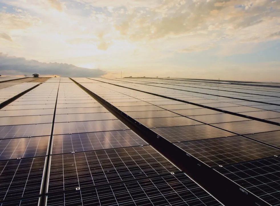 Une vaste toiture couverte de panneaux solaires qui s’étend jusqu’à l’horizon, sous un ciel partiellement nuageux au coucher du soleil