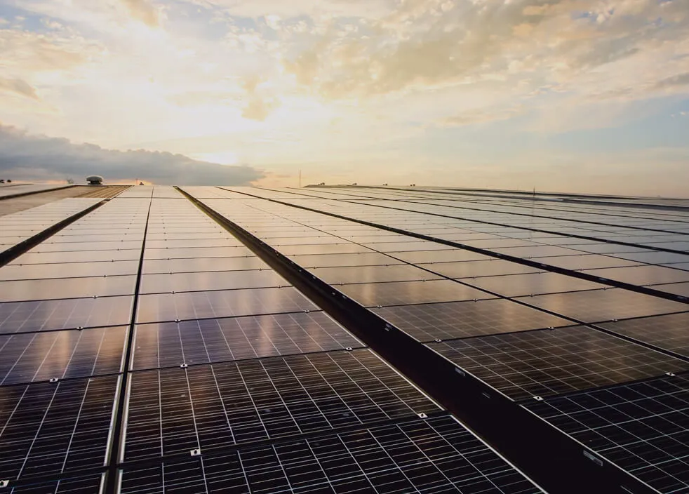 A large rooftop solar PV array stretching to the horizon under a sunset sky