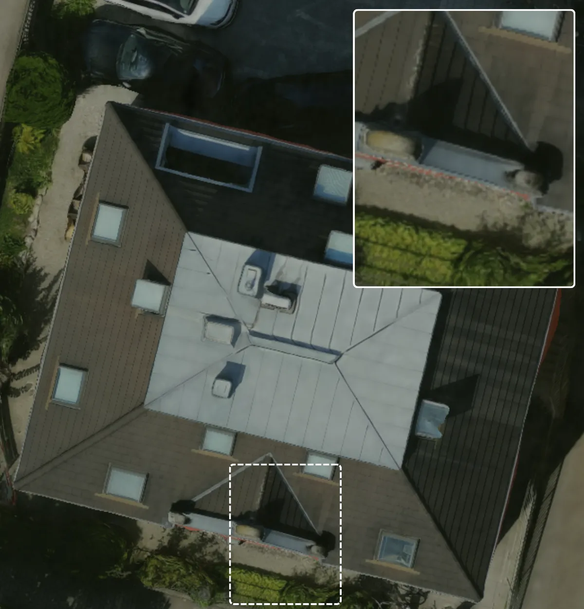 Eturnity Expert, Sharp top view